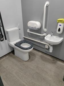 Specialist toilet cleaning services