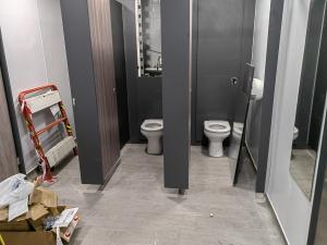 Specialist toilet cleaning services