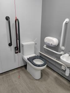 Specialist toilet cleaning services