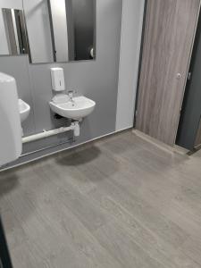 Specialist toilet cleaning services