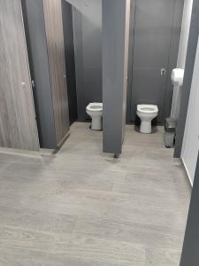 Specialist toilet cleaning services