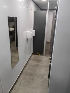 Specialist toilet cleaning services