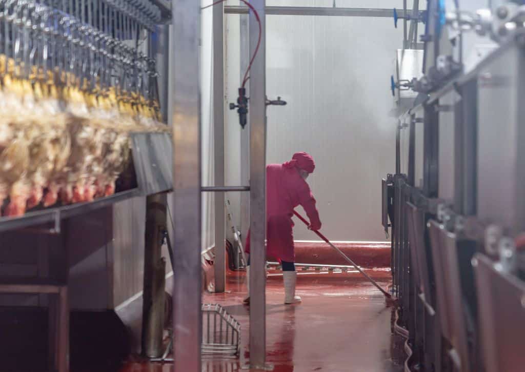 Worker use mop cleaning floor. Worker use mop cleaning floor.